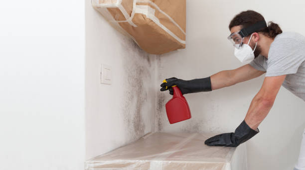 Professional Crawl Space Mold Remediation technician working in Long Lake, MN